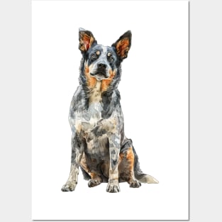 Australian Stumpy Tail Cattle Dog Posters and Art